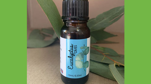 Eucalyptus Divies