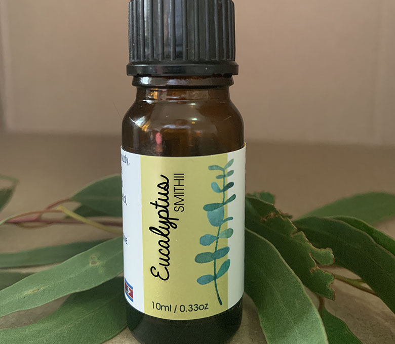 Eucalyptus Smithii