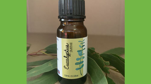 Eucalyptus Smithii