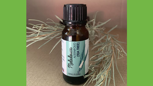 Tea tree