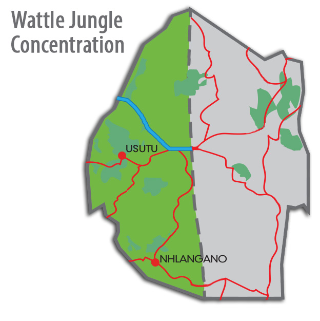 Community Forestry