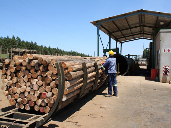 Swazi Poles