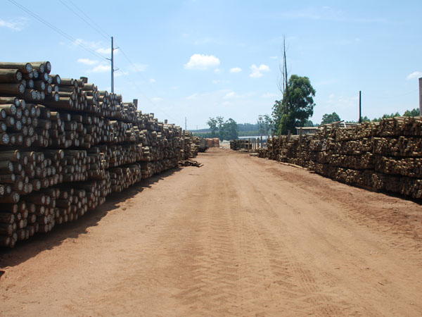 Swazi Poles