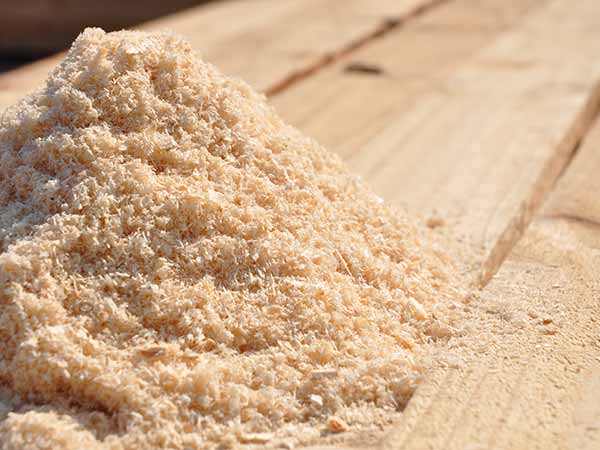 Shavings